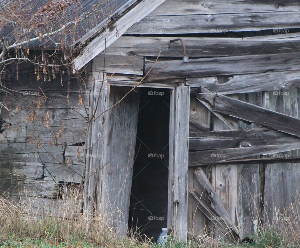 A colour shot of an old barn and its doorway in tones of grey and brown. There are some green grasses and dead-leaved shrubs in front and beside the barn and there is a faded blue jug in the black open doorway.