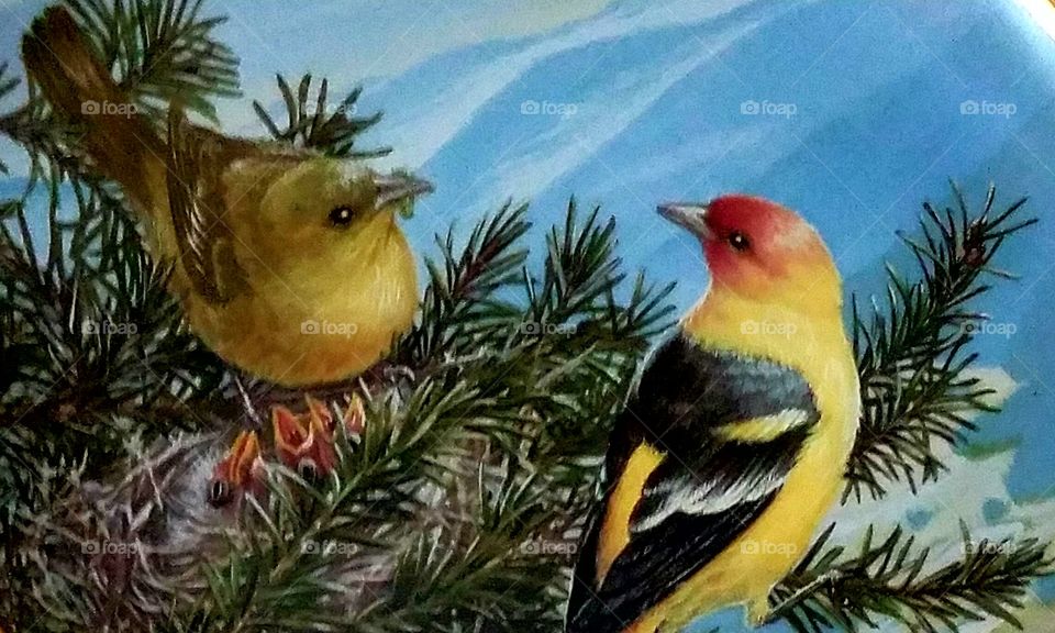 Some of the things I love