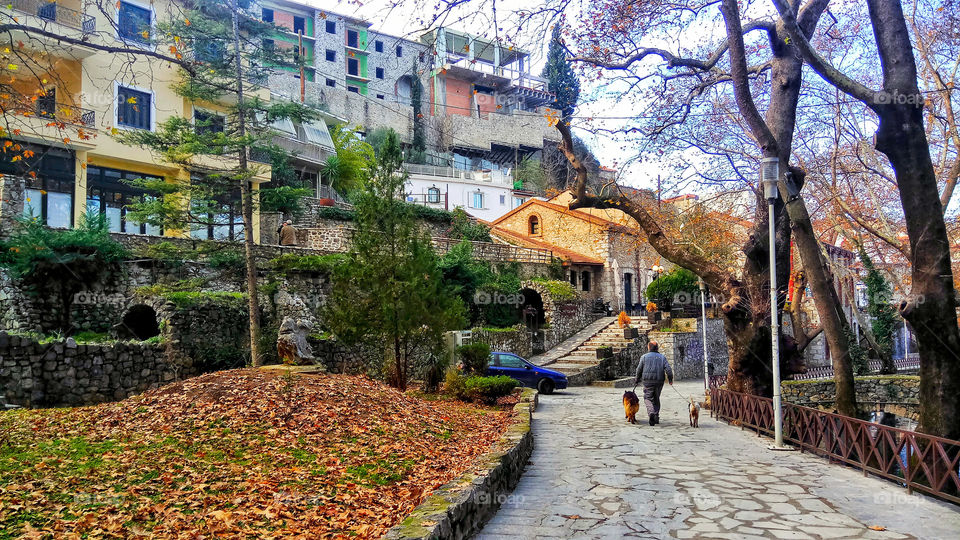 A man walking his dogs out in colorful Piges Kryas,Livadeia