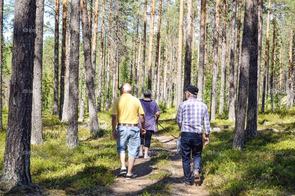 Senior people walking in the forest