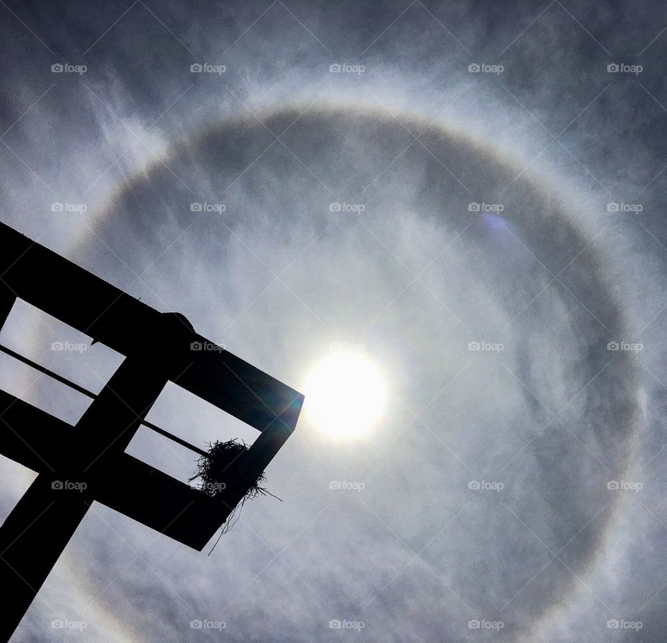 Sun Dog over a High Perch 