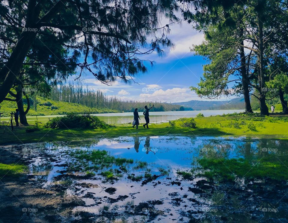 Rainy day puddles forming reflections on the ground