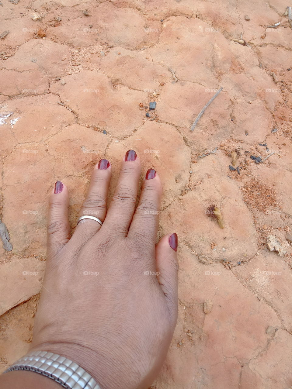 Editors'Choice Photo of the week