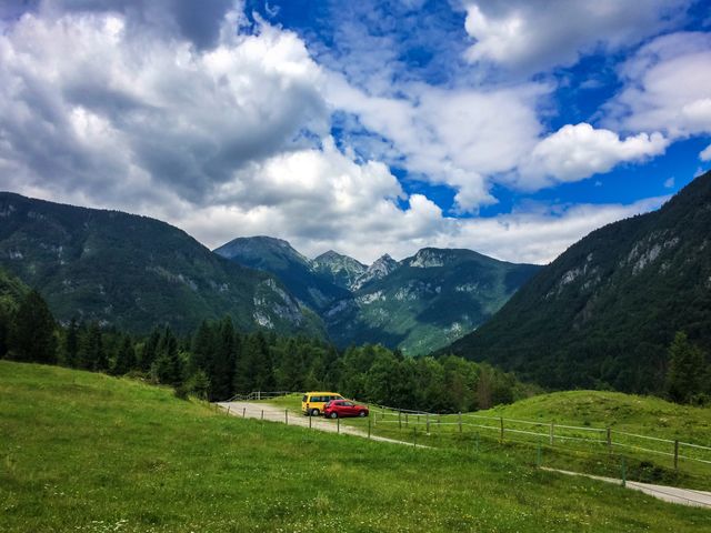 Colorful cars in nature
