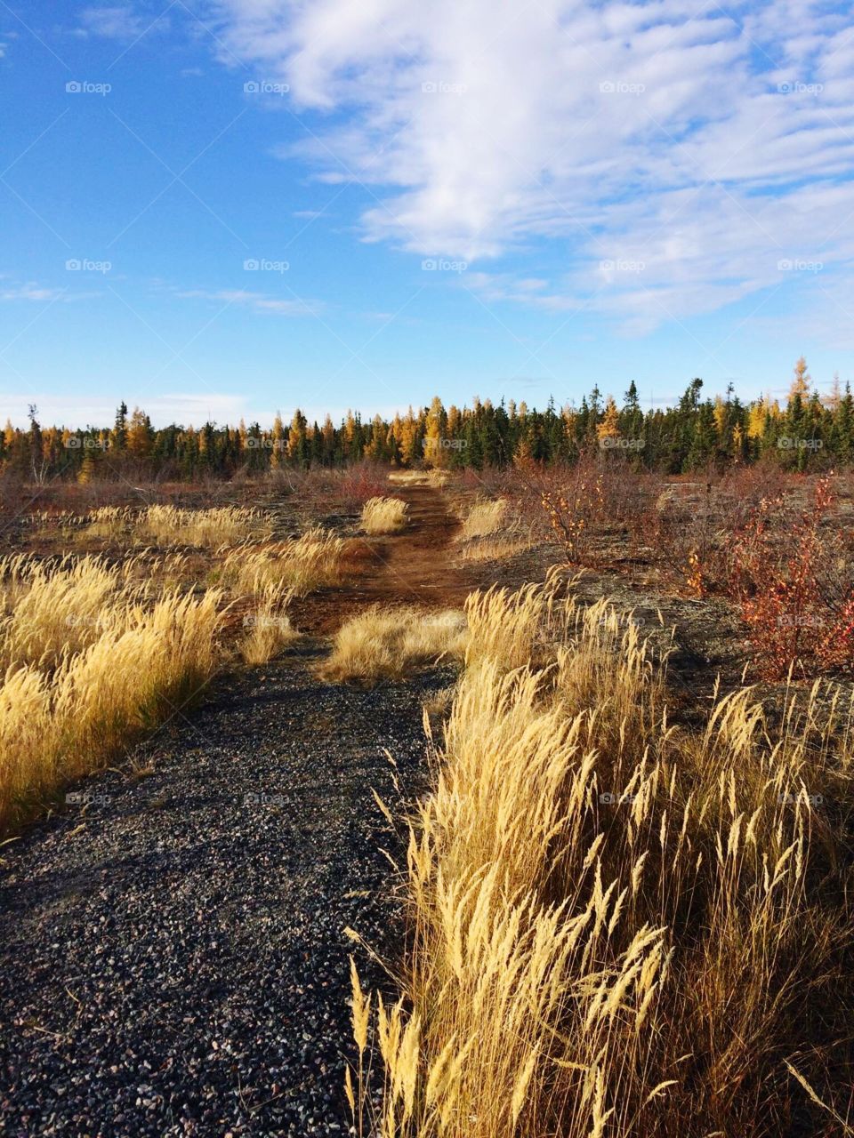 Autumn NWT hike! 