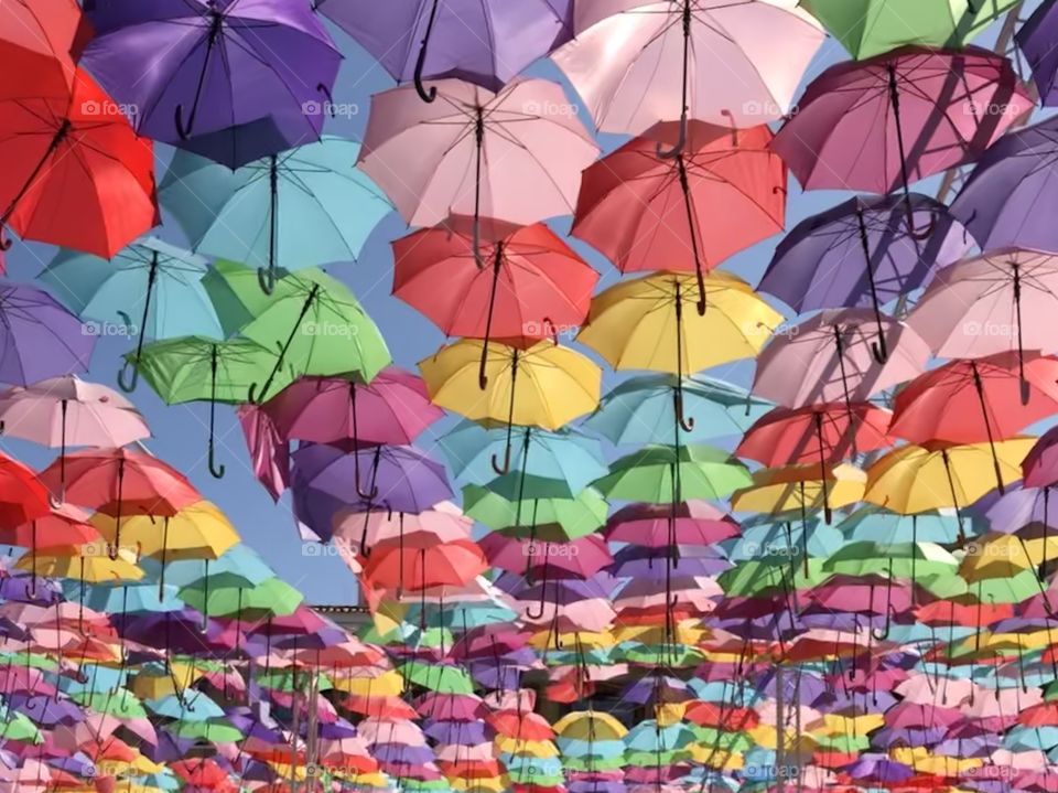 Umbrella Sky