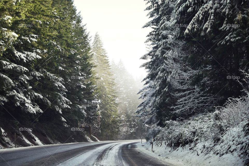 Empty road passing through forest in winter