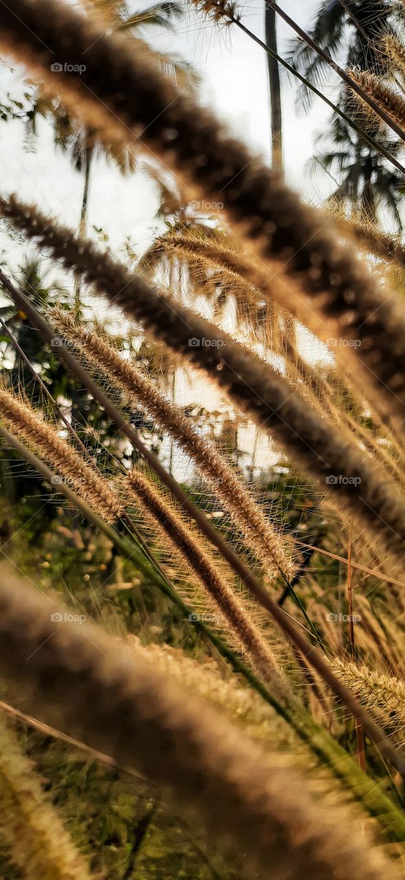 Colourful amazing nature...