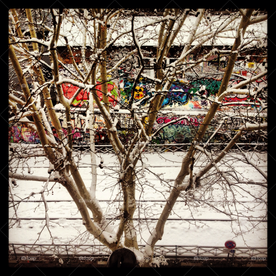 winter city tree scenic by directphoto