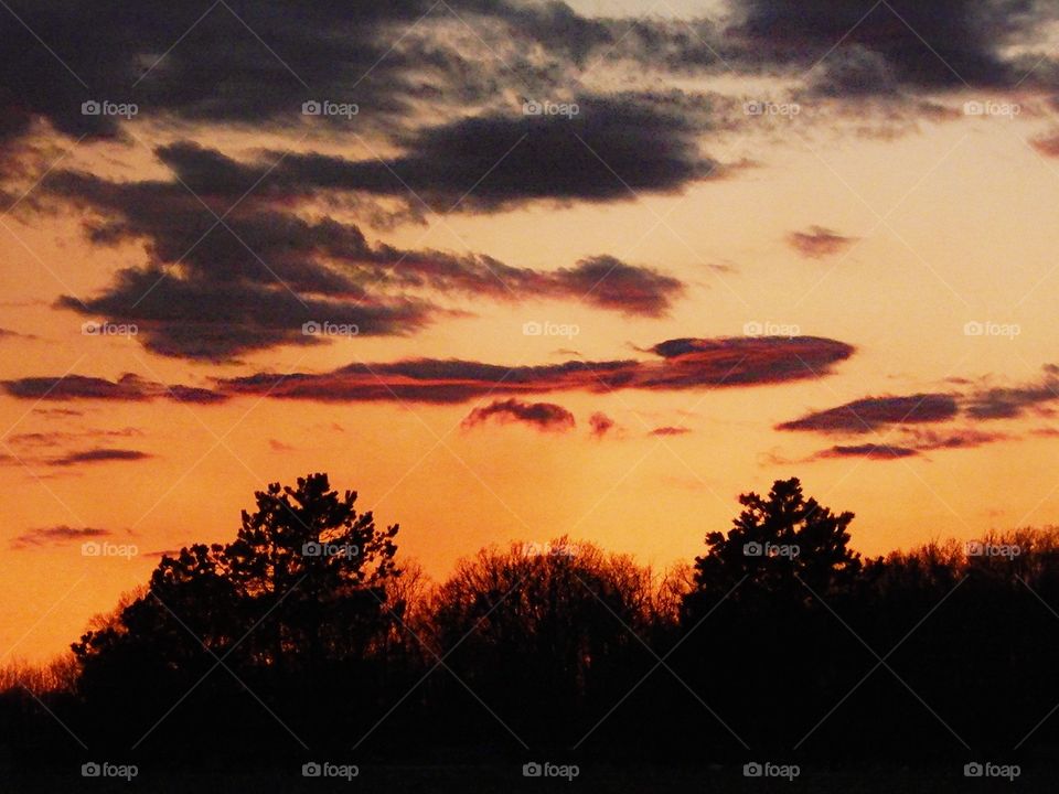 Sunset, No Person, Dawn, Landscape, Tree