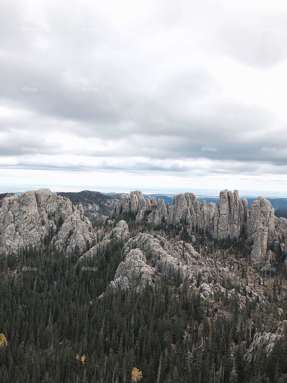 Black Hills’ Cathedral Spires