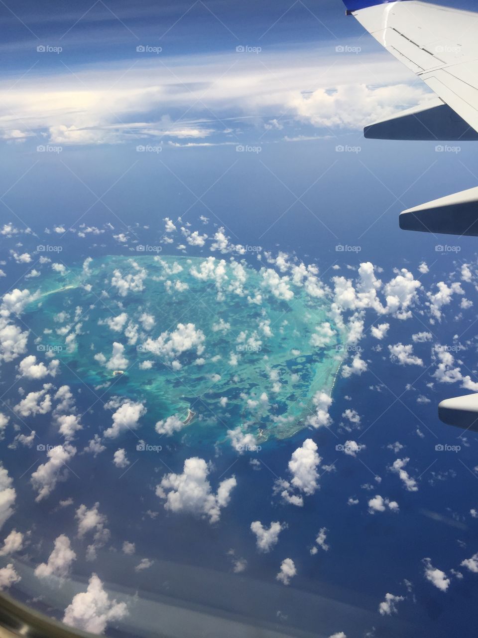Scorpion Reef in Gulf of Mexico 