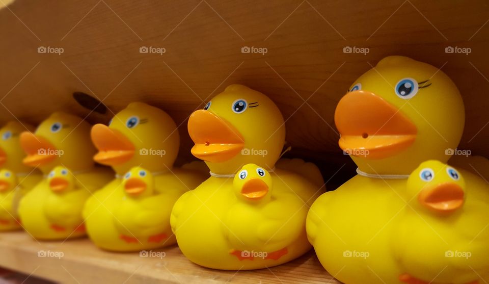 rubber ducks