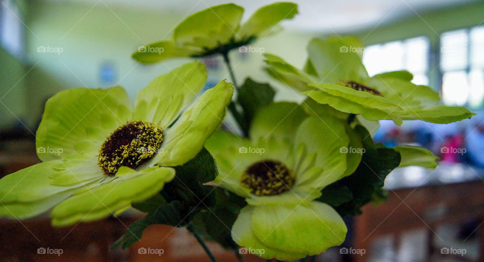 Cirebon, indonesia - August 28, 2018: Flower in class room for beautiful point of view