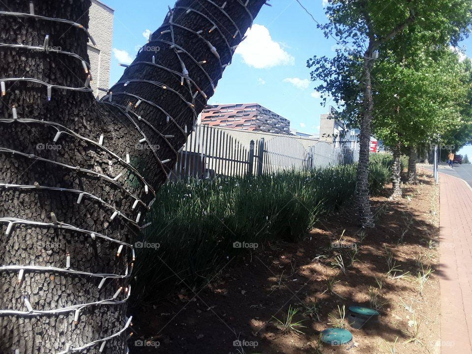 Christmas approaches , lights display.