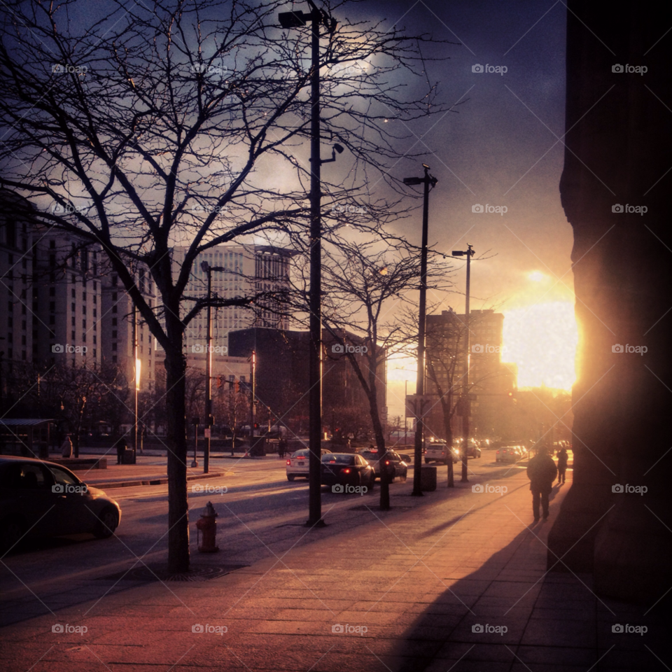 winter trees urban skyscraper by proxyuid