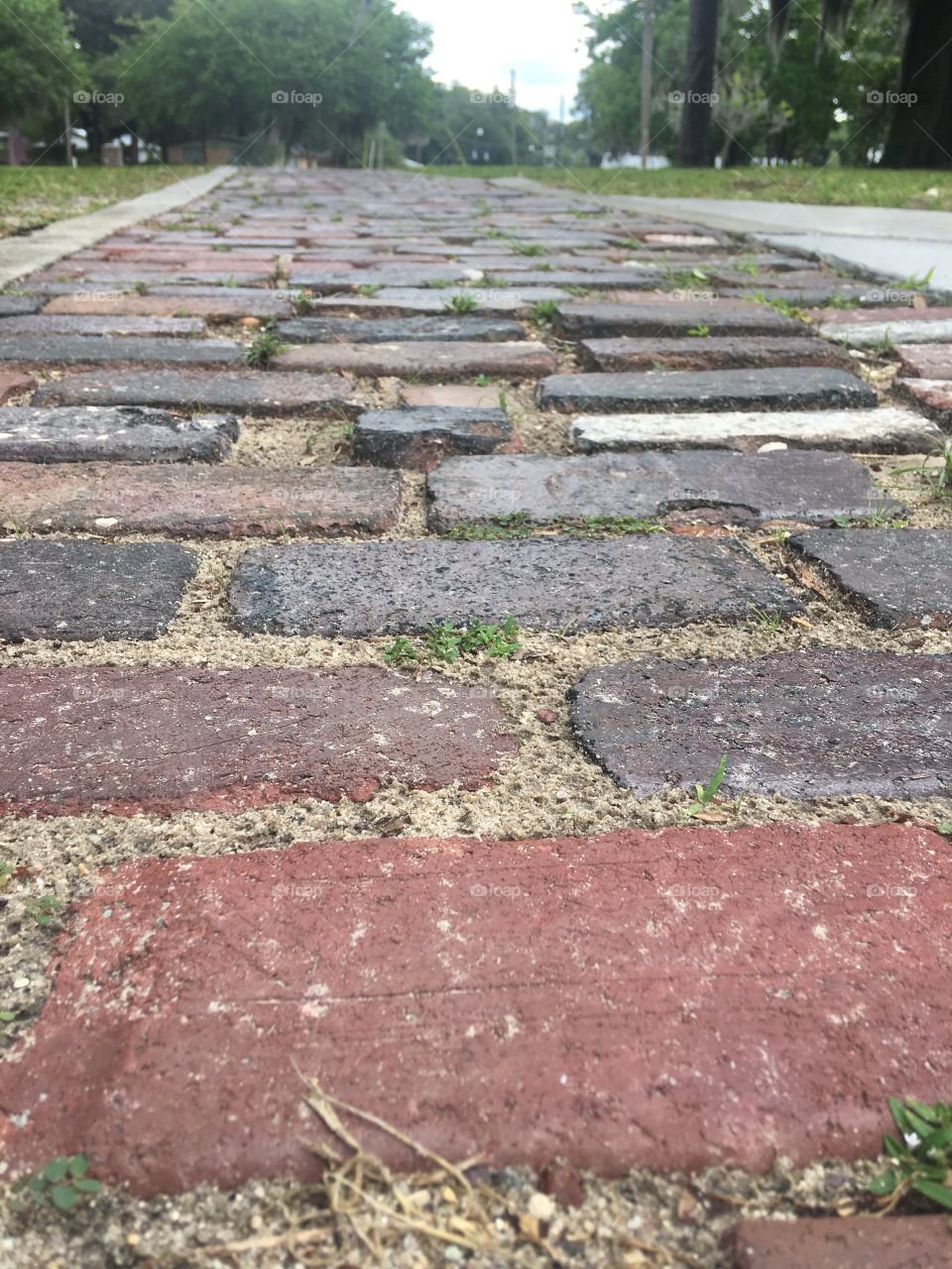 Brick walkway 