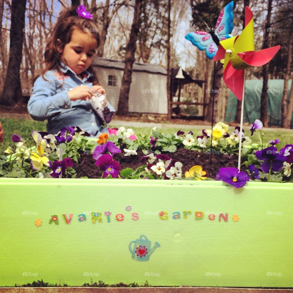 Avaries spring garden 