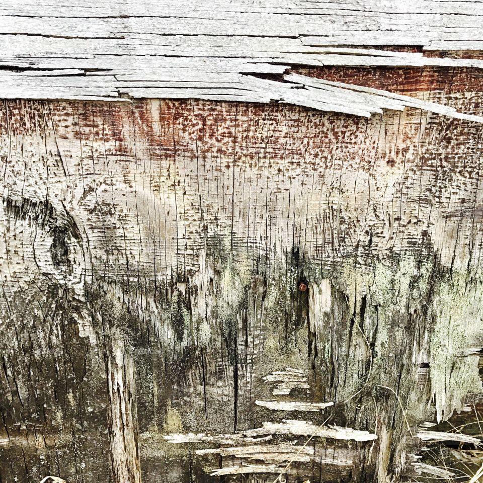 Full frame shot of old wood