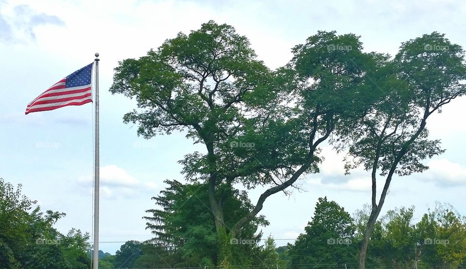 Flag Beside the Trees