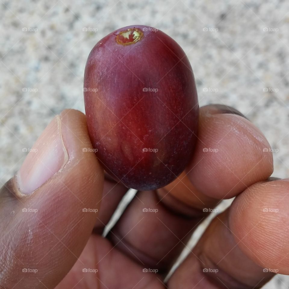grape