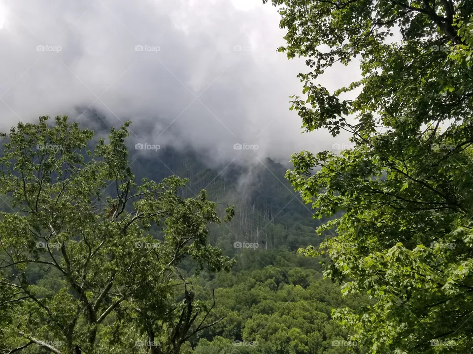 touch the clouds