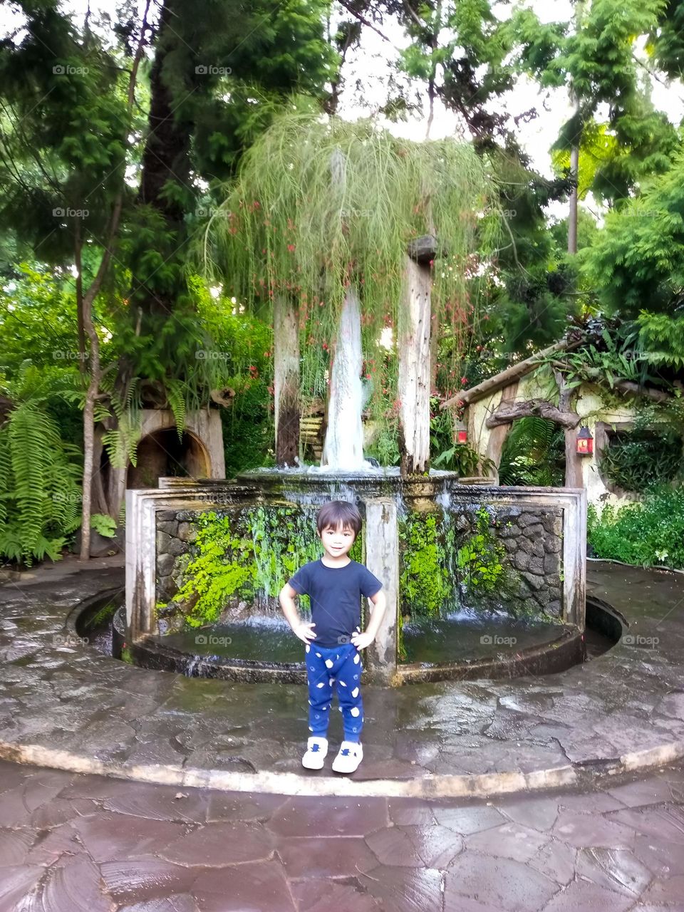 handsome asian boys stand in front of various design plants