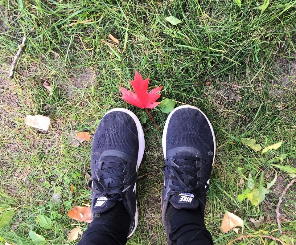 Fall in Canada