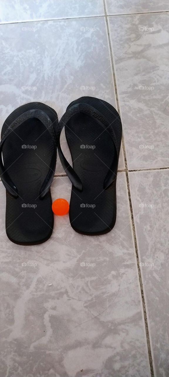 slipper playing ball