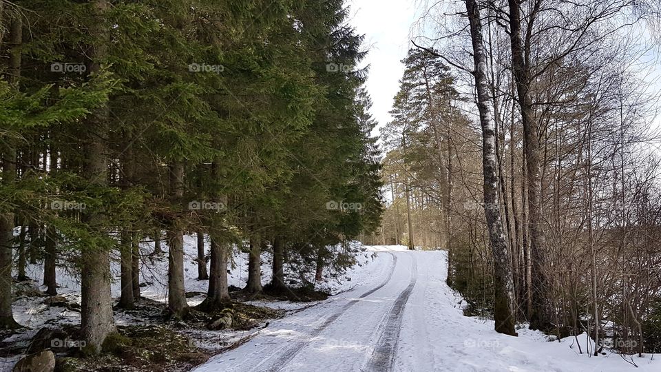 Road in the forest with snow and ice - väg i skogen med snö och is 
