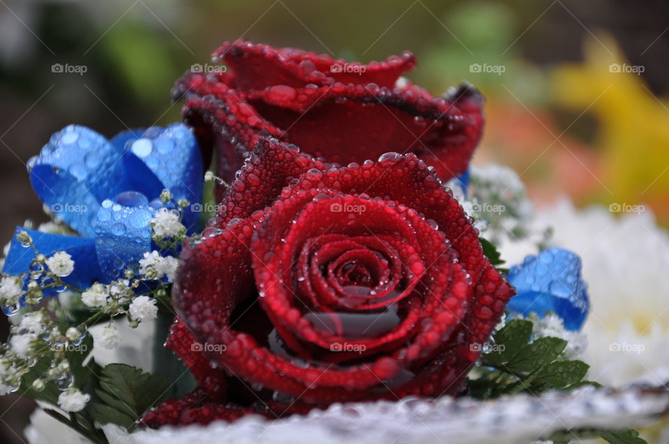 Water drops on bouquet