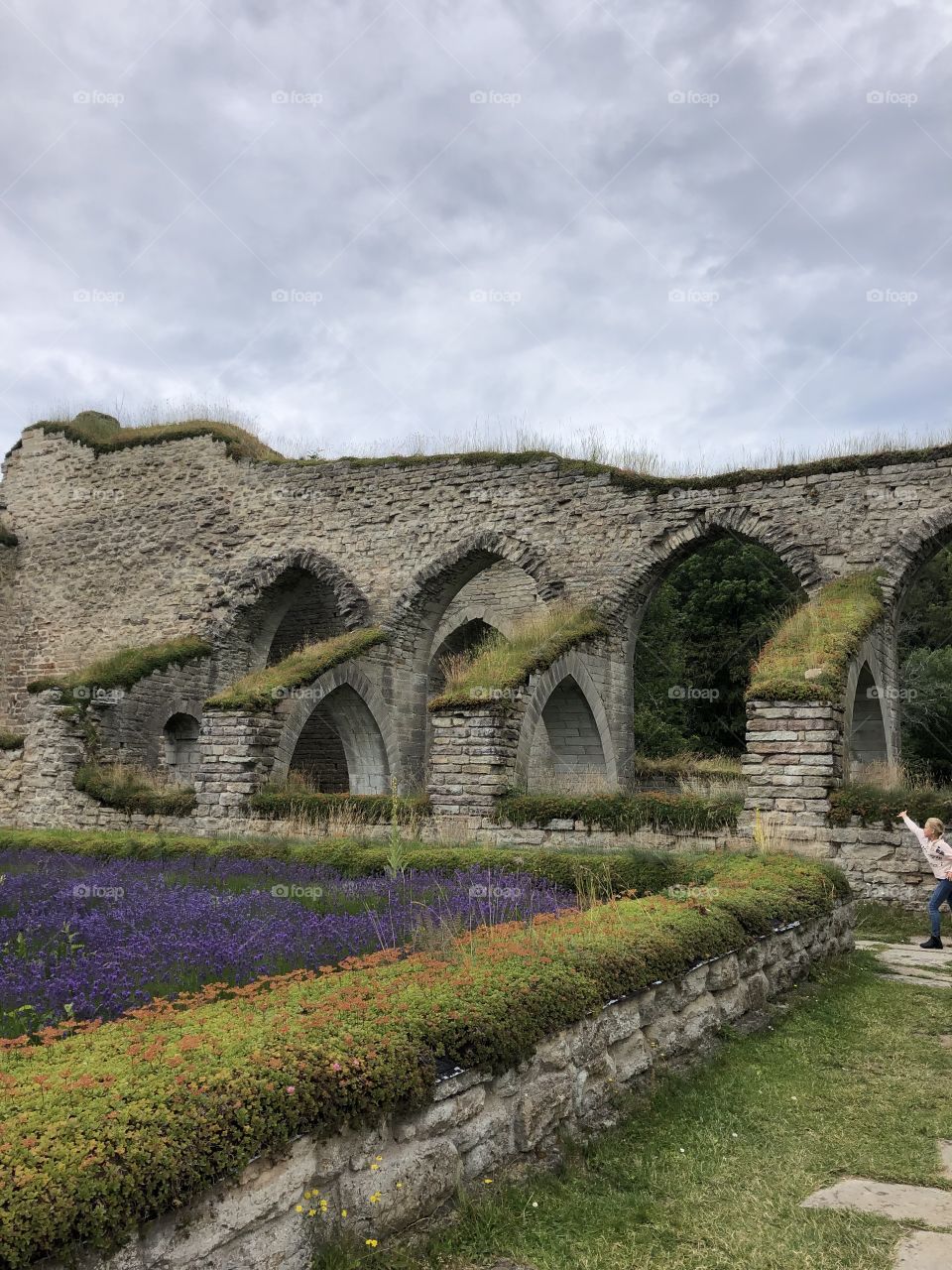 Alvastra monastery ruin