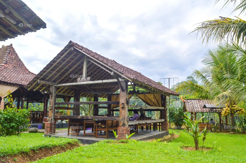 beautiful environment