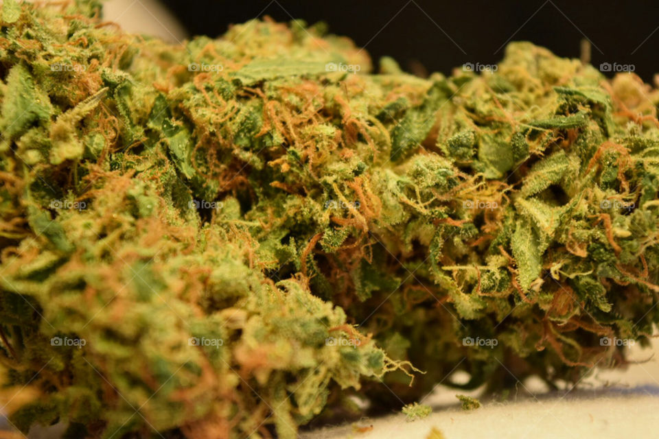 WA bud. some legal marijuana