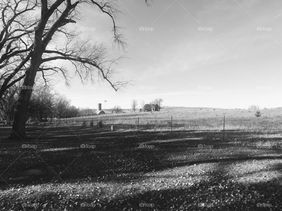 A farm in the distance in Kansas (black and white photo)