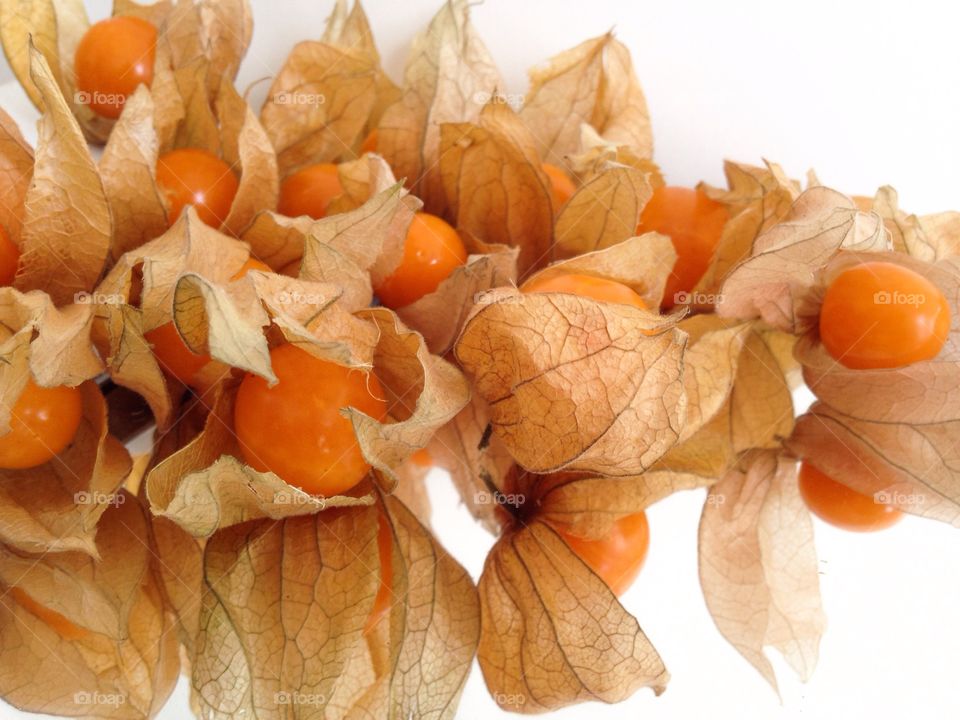 Extreme close-up of physalis with dry leaves