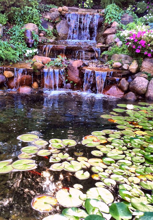 Waterfall at my mom's funeral 
