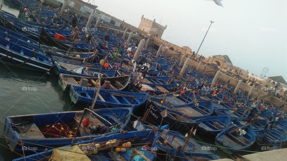 beautiful harbor full of blue boats.