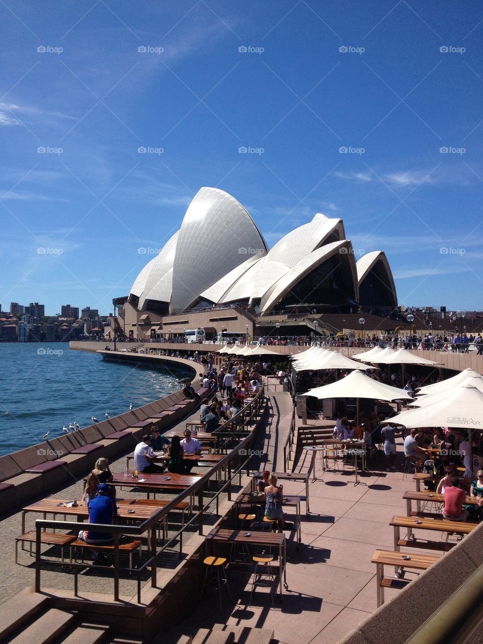 Sydney opera house harbourside