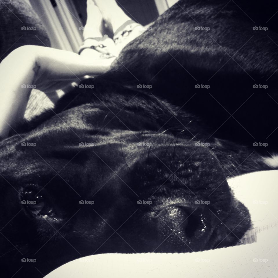 Snuggles. Spending some quality time with my Tyler