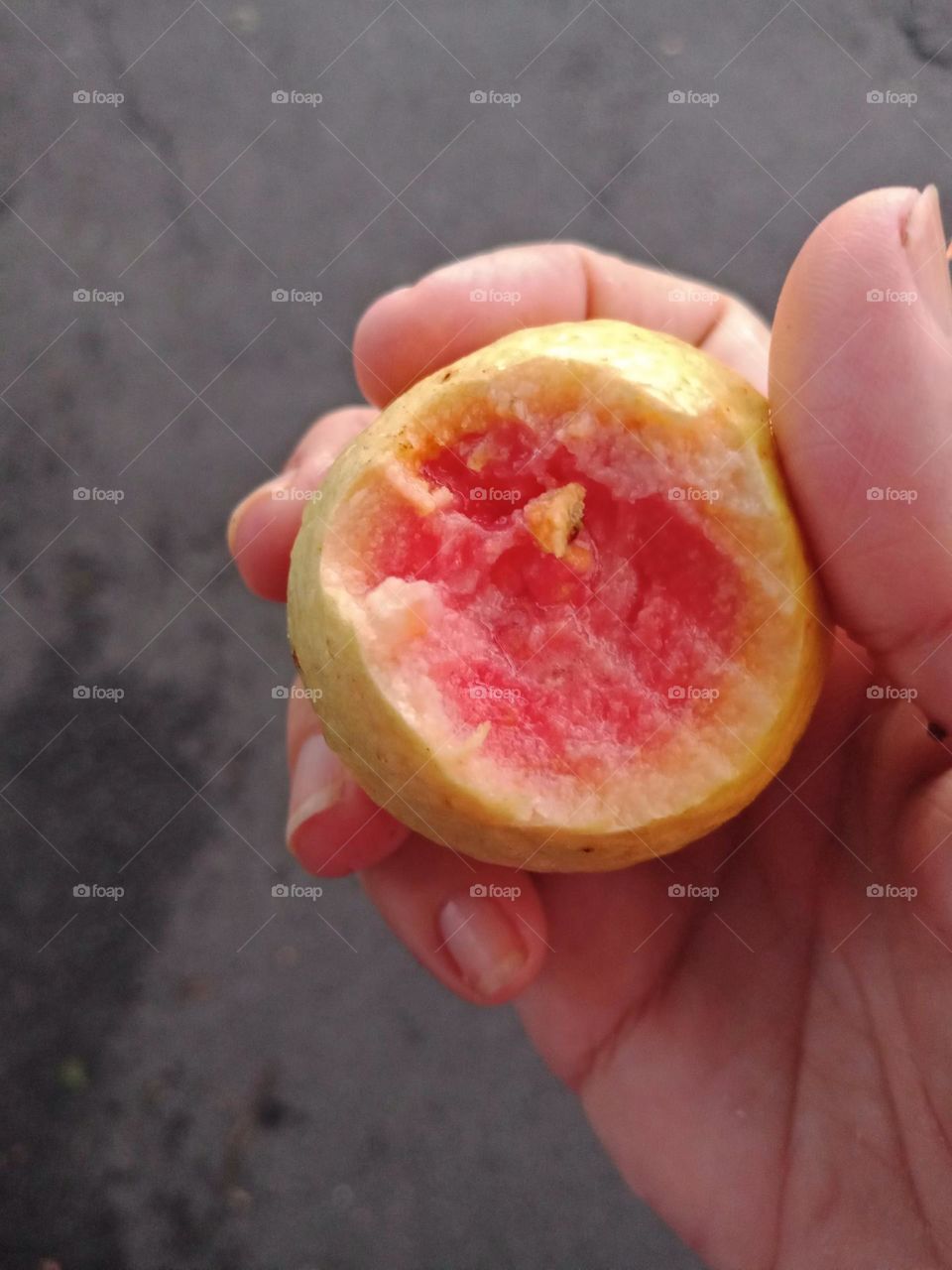 A bite at an wild guava