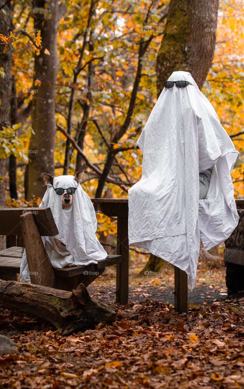 A woman and dog dressed up as ghosts for halloween