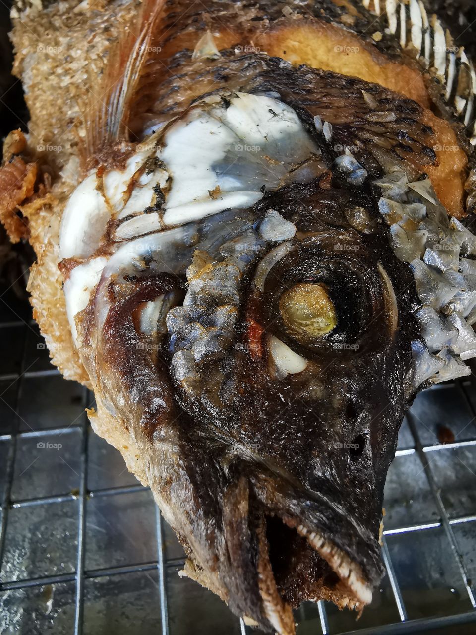 Tilapia is a fish that King Rama IX brought to cultivate and distribute to the people to raise for the Thai people to eat and not starve.