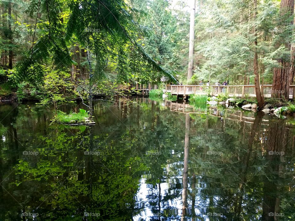 lake in Vancouver Canada