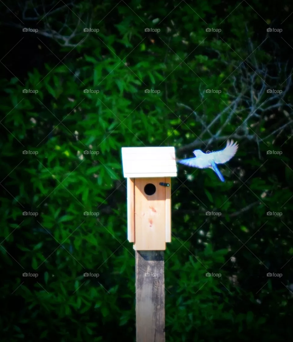 In flight