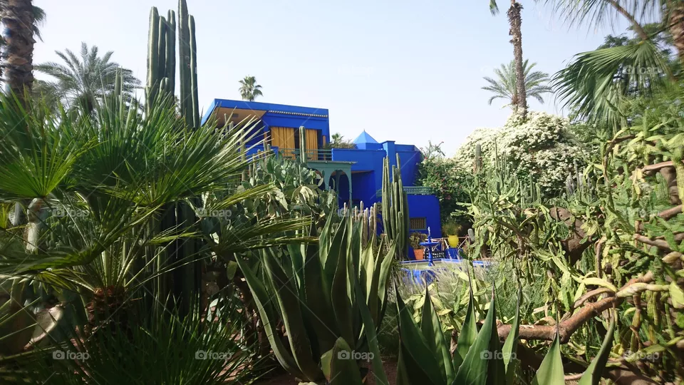 Marrakech Jardins Majorelle is a green place (garden) created by Yves Saint Laurent in an old city full of monuments, a city called "The red city" relatively to the colour of its walls. But here is different, you can see a very beautiful mixture between green colour and blue colour.