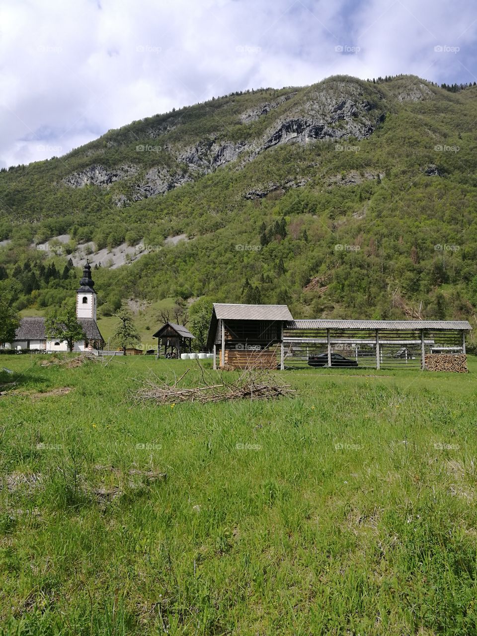 Scenic view of green landscape