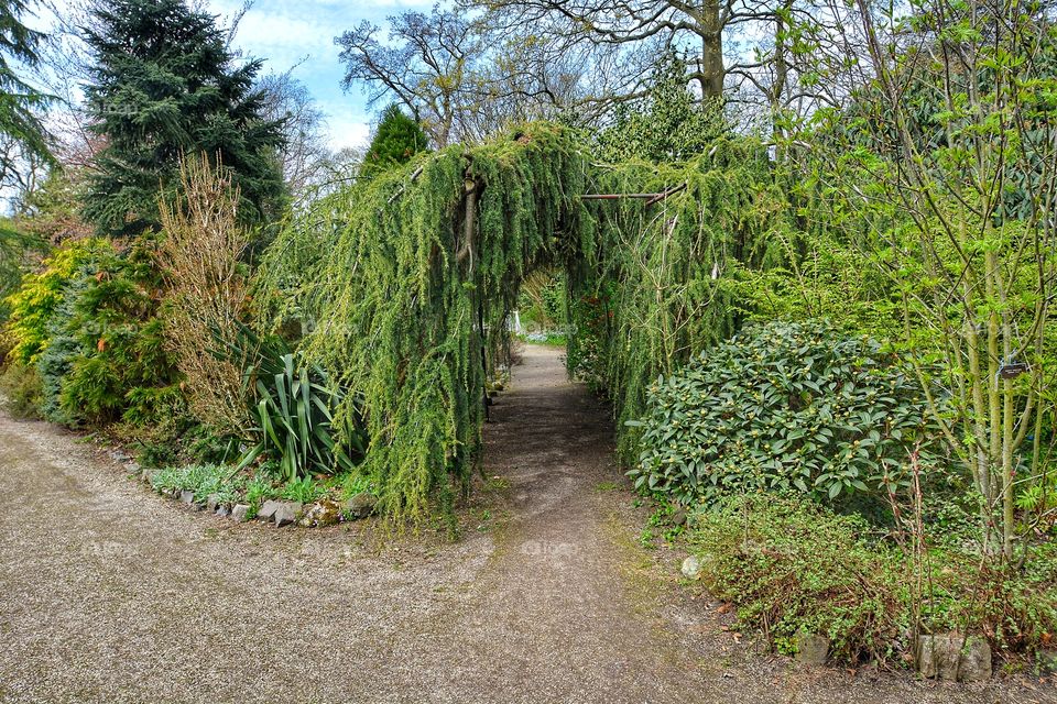 Parc in the springtime