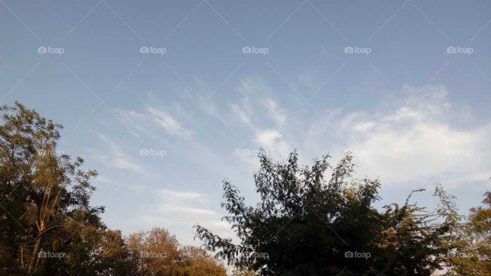 sky and clouds in sunlight