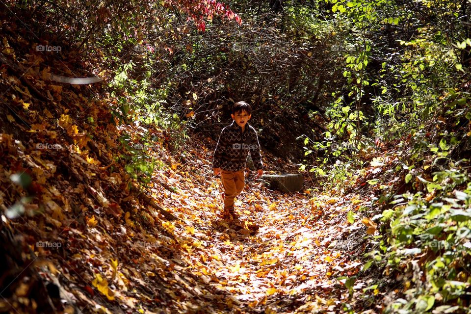 Hiking in the autumn